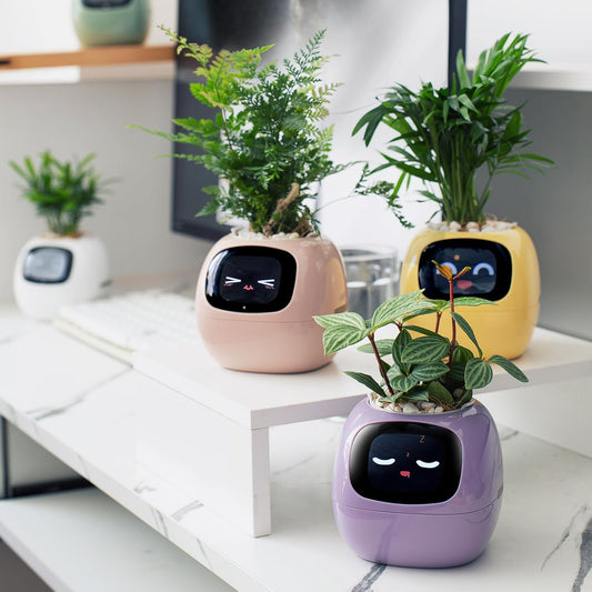 🤖🌿 Ivy AI: O vaso inteligente que dá vida às suas plantas 🌱💧