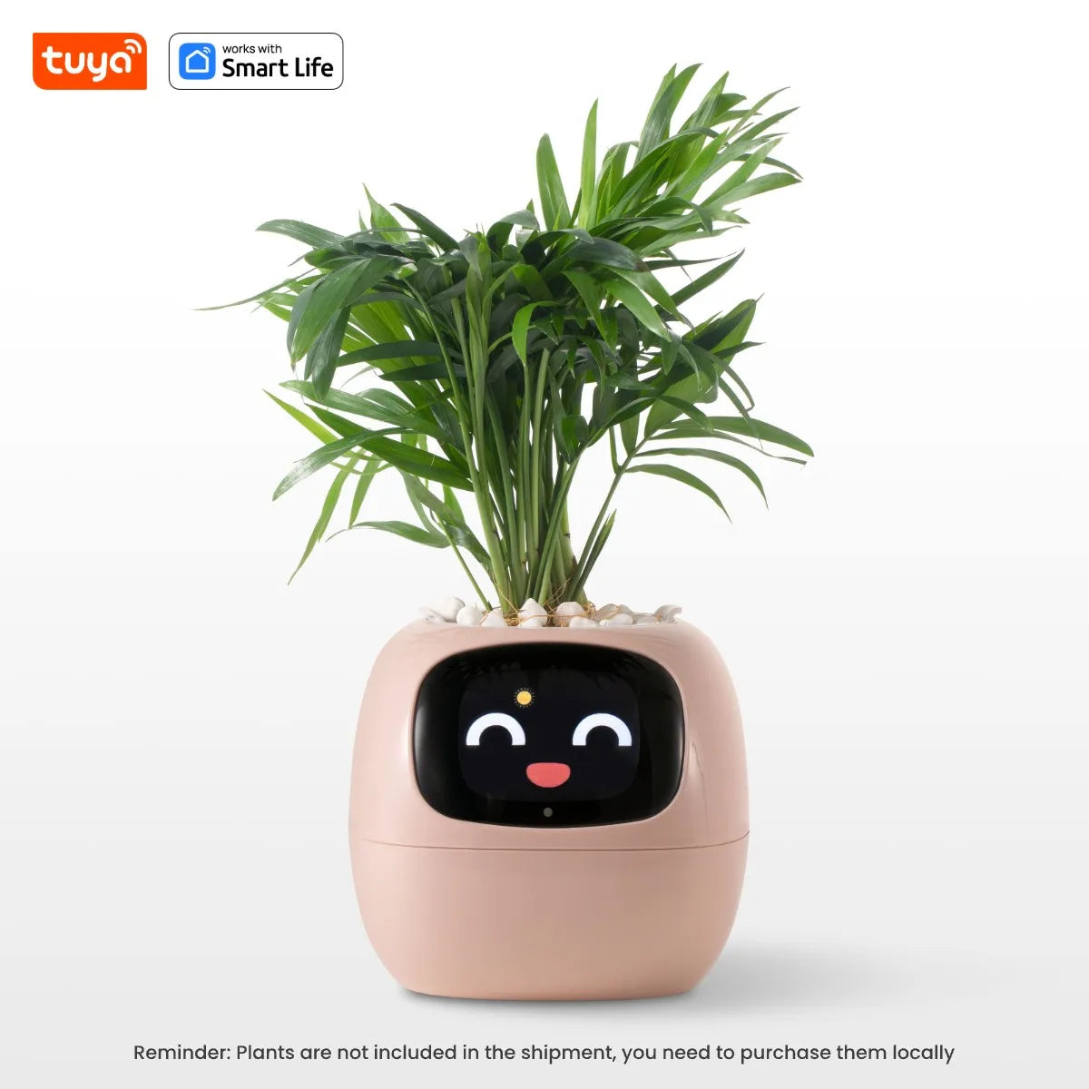 🤖🌿 Ivy AI: The Smart Pot That Brings Your Plants To Life 🌱💧