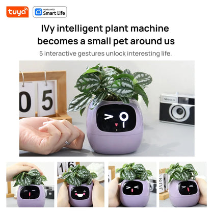 🤖🌿 Ivy AI: The Smart Pot That Brings Your Plants To Life 🌱💧