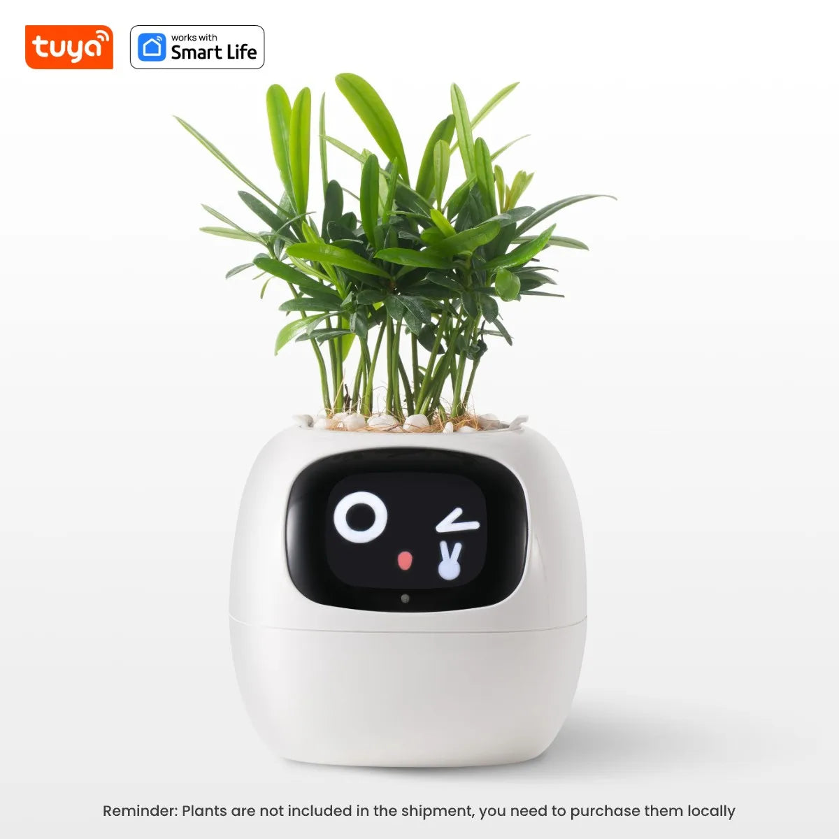 🤖🌿 Ivy AI: The Smart Pot That Brings Your Plants To Life 🌱💧