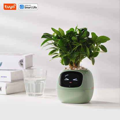 🤖🌿 Ivy AI: The Smart Pot That Brings Your Plants To Life 🌱💧