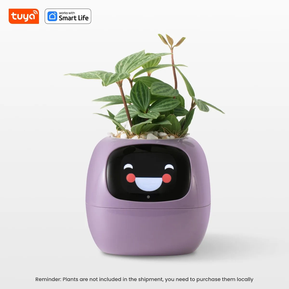 🤖🌿 Ivy AI: The Smart Pot That Brings Your Plants To Life 🌱💧