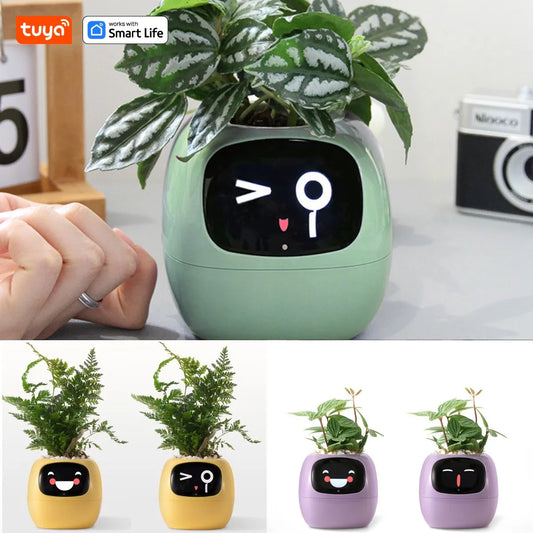 🤖🌿 Ivy AI: The Smart Pot That Brings Your Plants To Life 🌱💧